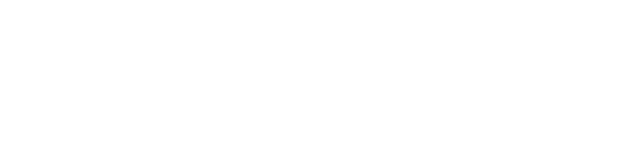 Viva Misiones