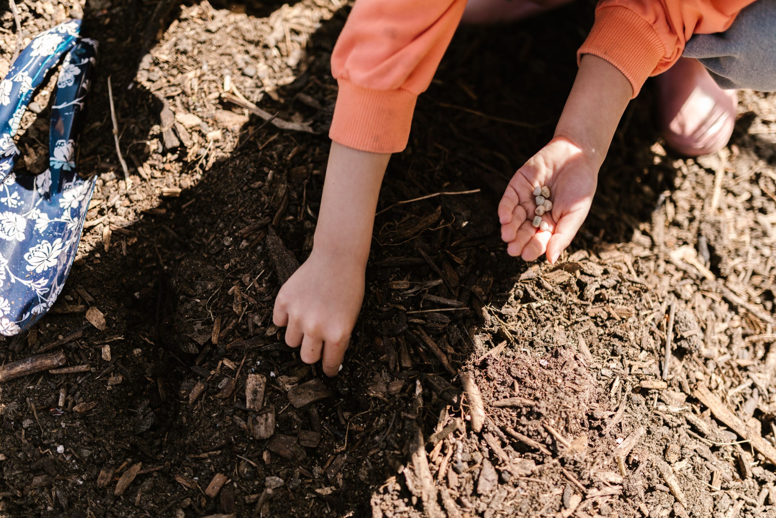 Siembra infantil. Fotografía ilustrativa del aprendizaje ambiental; no corresponde al acto de Compromiso Ambiental de Misiones.