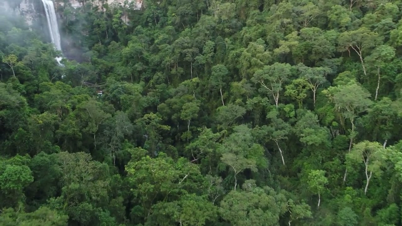 Salto Encantado, Misiones. Imagen de un área protegida; no documenta obras del programa propuesto en 2022.